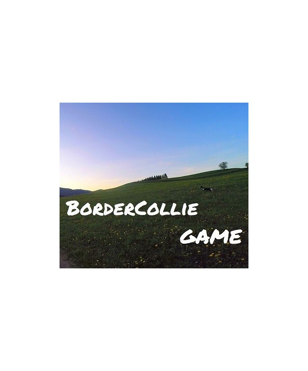 BorderCollie Game Steam Key GLOBAL